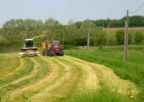 وزير الفلاحة يطلع على تقدم ورش التهيئة الهيدروفلاحية للدائرة السقوية لسد دار الخروفة