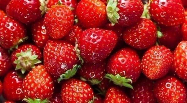 ما الفواكه التي تخفّض الكولسترول؟