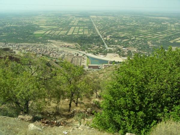 جهة تادلة أزيلال .. توقع تحقيق إنتاج يناهز 45 ألف طن من اللحوم الحمراء