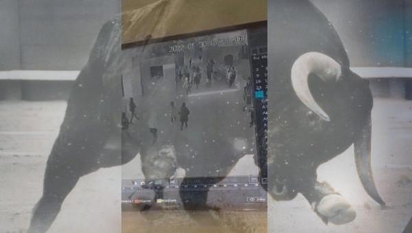 ثور هائج يقتحم مدرسة ويوقع إصابات(فيديو)