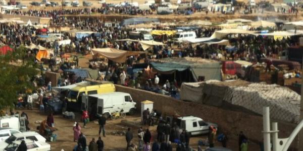 آخر مستجدات حادث مقتل "لص" بأحد أسواق الماشية بإقليم ميدلت