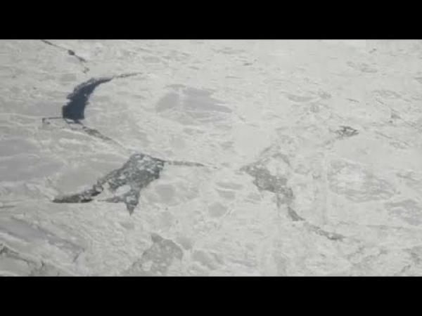 أولى اللقطات للجبل الجليدي الضخم المنفصل عن القطب الجنوبي