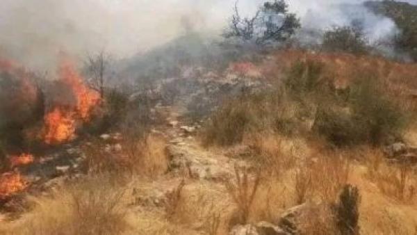 ظروف غير مواتية تعرقل جهود فرق الإطفاء لإخماد الحريق الغابوي بضواحي تطوان