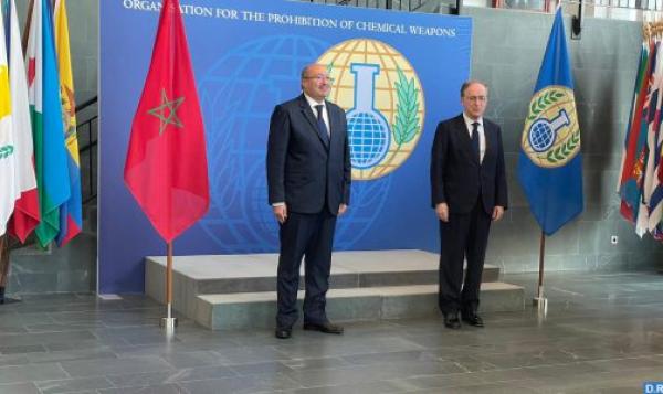 انتخاب المغرب عضوا في المجلس التنفيذي لمنظمة عالمية هامة