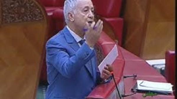 ساجد و ارتفاع أسعار تذاكر الرحلات الجوية