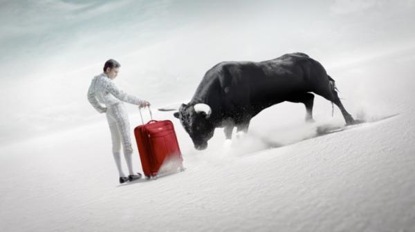 بالصور .. 10 خرافات عن عالم الحيوان أغلب الناس يعتقدونها