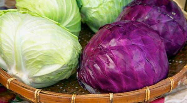 8 أسباب تفرض عليك أكل الملفوف