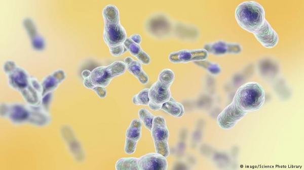 لتشخيص الأمراض .. بكتريا بصحبة رقائق إلكترونية