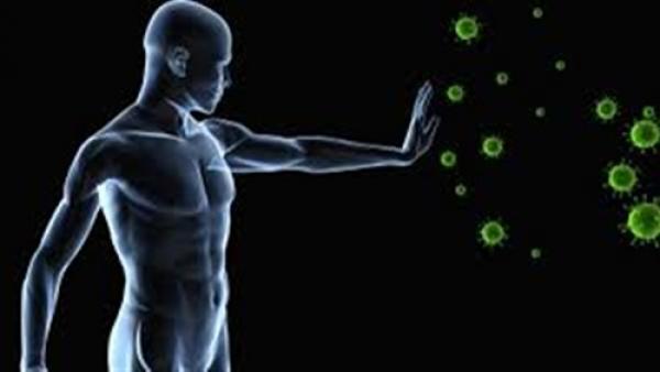 9 مشروبات طبيعية تعالج أمراض الجسم