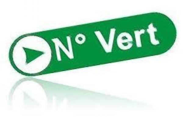 إطلاق رقم أخضر لفائدة أفراد الجالية المغربية المقيمة بالخارج