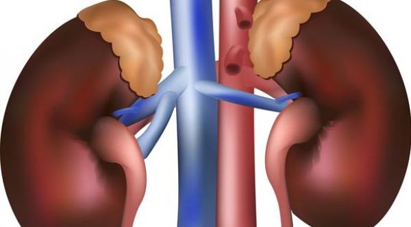  تبدأ الأعراض في الظهور عندما تتحرك الحصوة نحو الحالب 