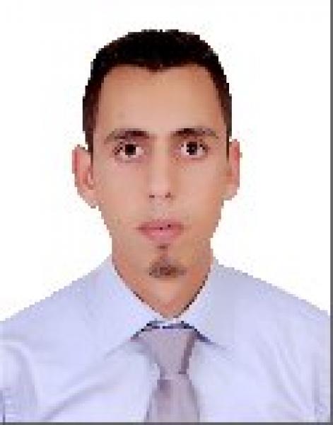 خريف الإسلام السياسي في دول الربيع العربي