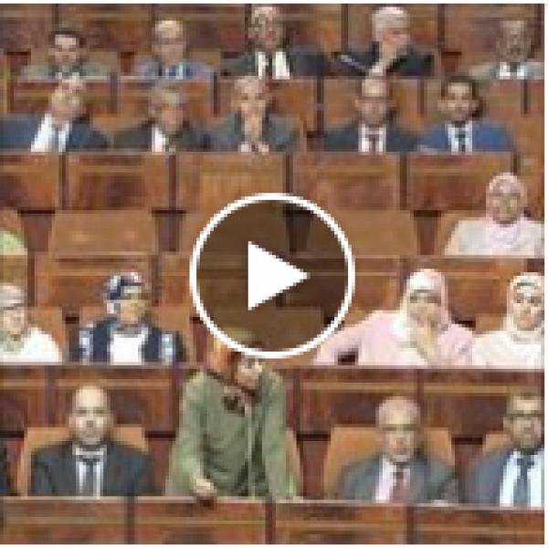 آمنة ماء العينين تحصي أخطاء حصاد