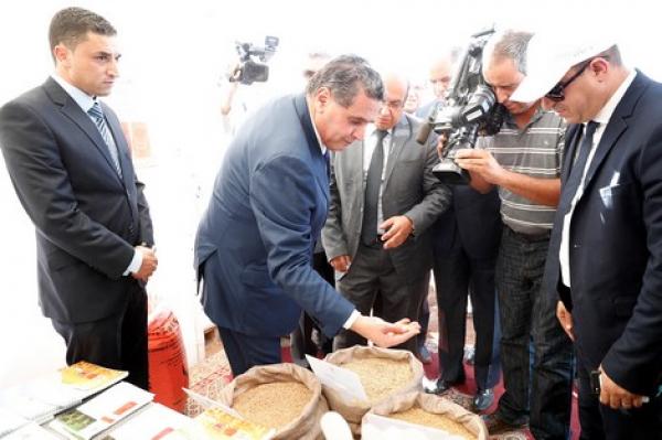 "الحجاج" يَستعرض أهم مُنجزات الحكومة في ملف الأمازيغية بأغلب القطاعات خلال سنتها الأولى