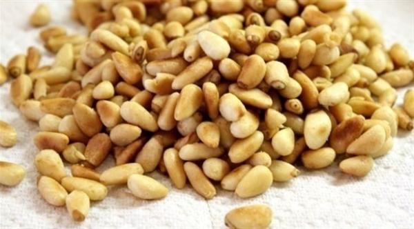 فوائد صحية رائعة للصنوبر تهمّك معرفتها