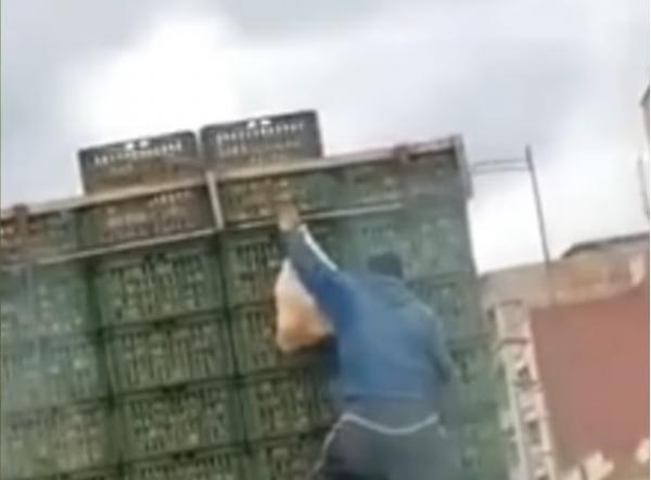 شاهد كيف يسرق شاب شاحنة محملة بالبرتقال و هي على الطريق