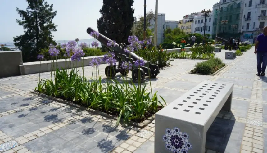 مأساة بطنجة.. قاصرون مشردون يدفعون شابا من أعلى سور المعكازين وينهون حياته