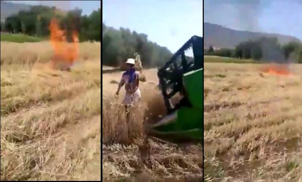سيدة بافورار تضرم النار في محصول القمح وتحاول الانتحار امام الة الدرس
