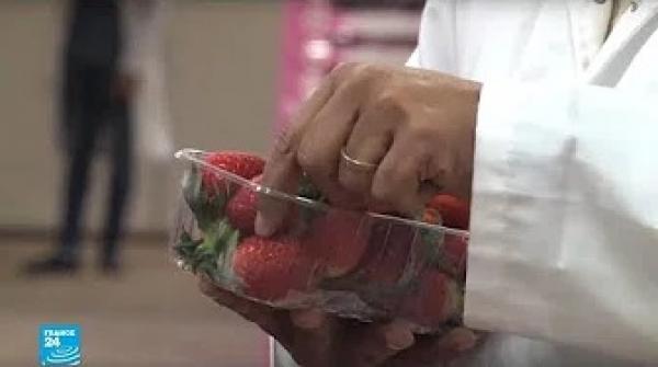 ازدهار إنتاج الفواكه الحمراء بالمغرب لأسباب تقنية وبشرية