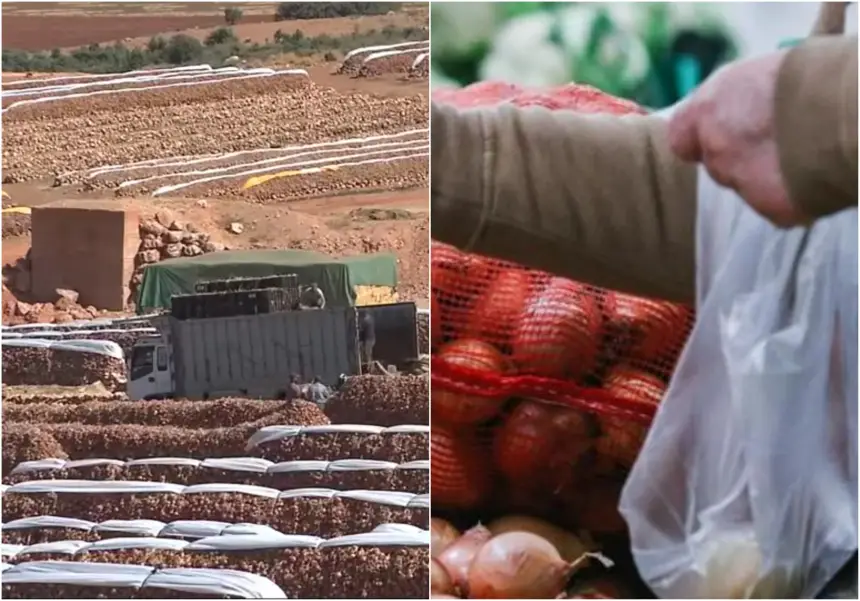 "تعدد الوسطاء" يلهب جيوب المغاربة.. رحلة "البصل" من المخازن إلى المستهلك تضاعف ثمنه 3 مرات!