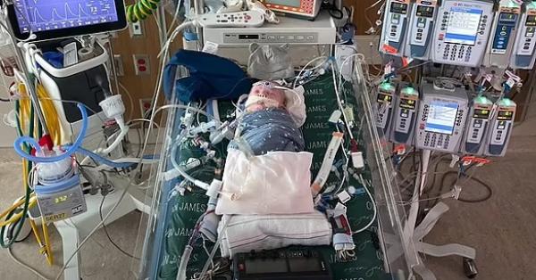 أول عملية زرع قلب جزئية في العالم باستخدام أنسجة حية