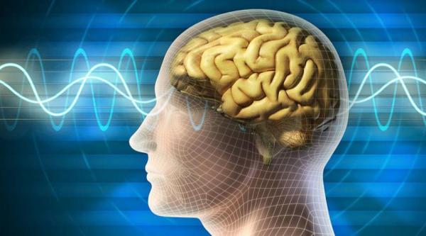 طريقة سهلة وبسيطة لتحسين وظائف الدماغ