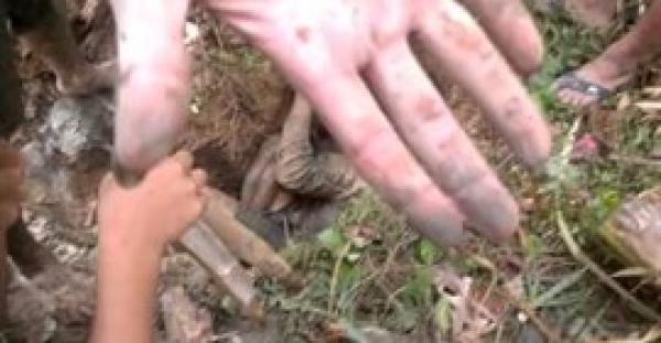 بالفيديو.. شاب يخرج سمكة من باطن الأرض