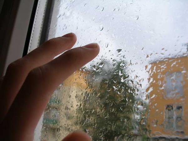 زخات مطرية رعدية ستشمل اليوم العديد من مناطق المملكة