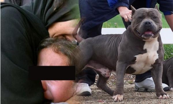 بسبب 20 درهم... "مشرمل" يحرض كلبه الخطير على "مول الحانوت" و"ينهشه" وغريب ما فعله لرجال الأمن!