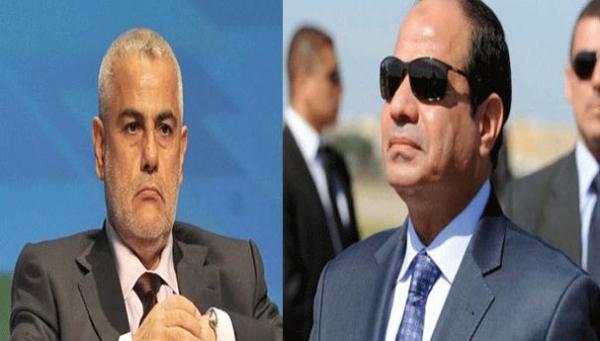 برلمانية تتهم حكومة بنكيران بتعمد نشر تقرير ضد نظام السيسي وافتعال أزمة إعلامية