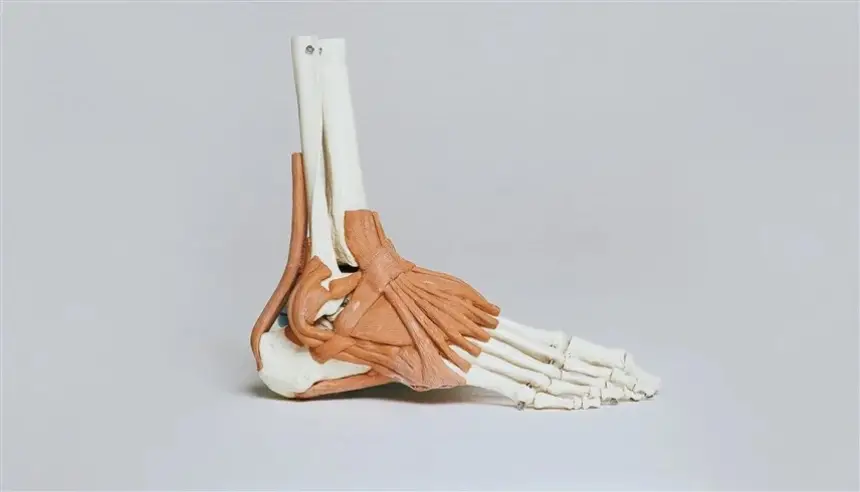 تقنية جديدة لاستبدال مفصل الكاحل تُحدث ثورة في الجراحة