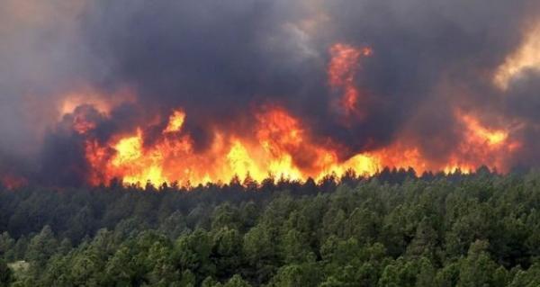 تفاصيل الحريق الذي أتى على حوالي 40 هكتارا من الغطاء الغابوي بإقليم تطوان