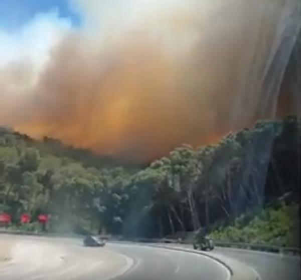 حريق يلتهم غابة عين لحصن قرب تطوان والسلطات توقف حركة السير