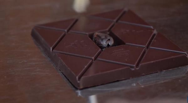 من لحظة قطف الثمار حتى التغليف.. شاهد رحلة أغلى شوكولا في العالم