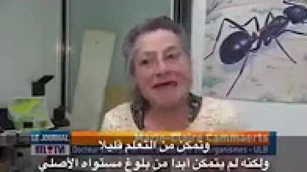 تقرير صادم عن اخطار اشعاعات الهاتف المحمول