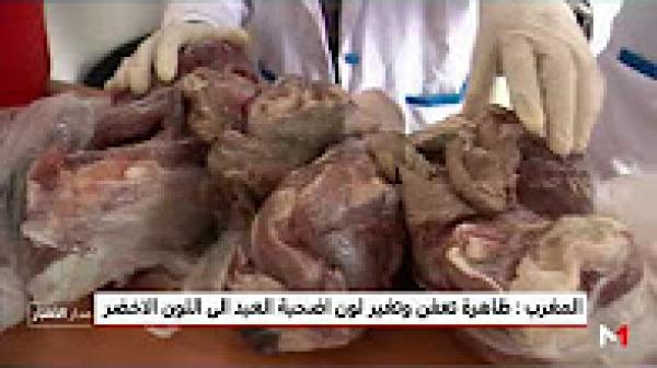 ما أسباب تعفن وتغير لون لحم الاضحية الى اللون الأخضر؟