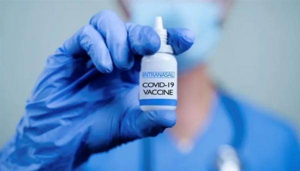نجاح مبكر للقاح ضد كورونا يتم رشه في الأنف