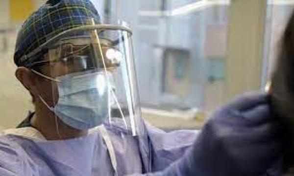 العلماء يطورون "أنفا نباتيا" مصنوعا من غضروف "صناعي"!