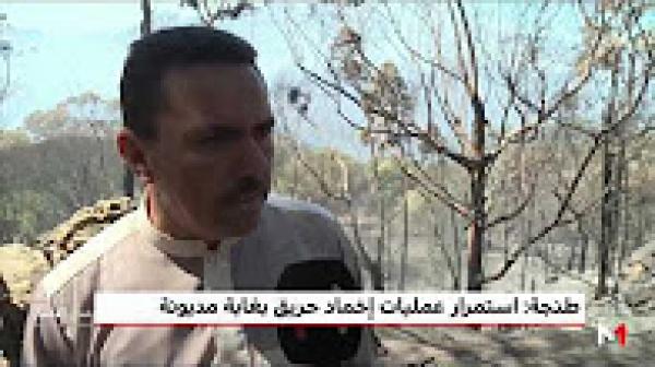 استمرار عمليات إخماد حريق بغابة مديونة