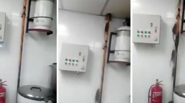 ​بالفيديو: كم فأراً ترى في هذا المطبخ؟