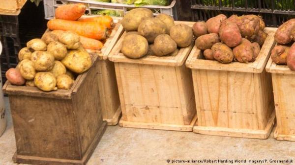 البطاطس أم البطاطا الحلوة... أيها مفيد للصحة؟