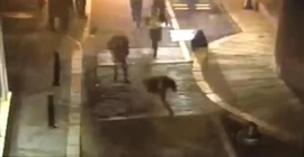 شجاعة امرأة تساعد الشرطة في القبض على متهم (فيديو وصور)