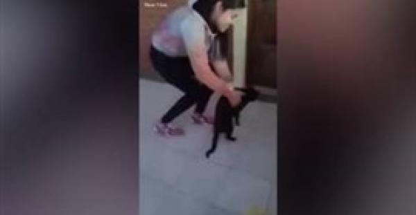 بالفيديو..  مراهقة ترمي قطة من الطابق الرابع