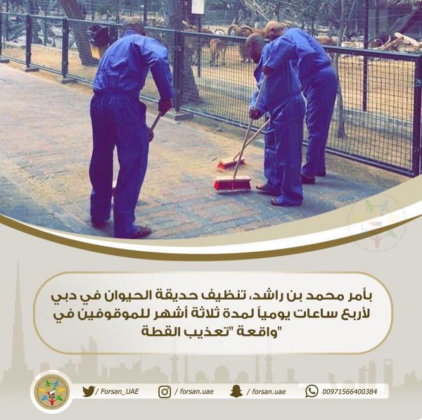 فيديو صادم لشبان يقدمون قطة للكلاب الشرسة وهذه هي العقوبة التي أمر بها حاكم دبي في حقهم