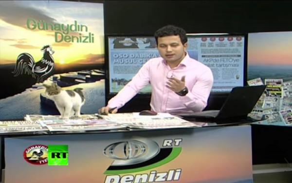 بالفيديو: قطة تقتحم استوديو للأخبار أثناء بث مباشر