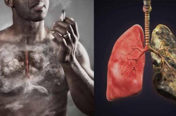 لهذا السبب الدخان خبيث وحرمه الاسلام