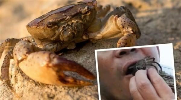 صورة تعبيرية من الارشيف