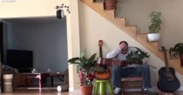 بالفيديو.. قط ينتقم من عازف «جيتار» عامله بقسوة