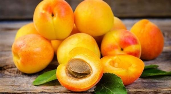 المشمش.. كنز من المعادن والفيتامينات