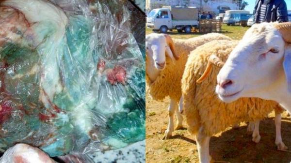 "أونصا" تدخل على الخط مجددا في قضية تعفن اللحوم وتحل بمنازل مواطنين متضررين